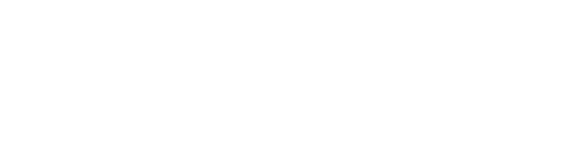 Info Support