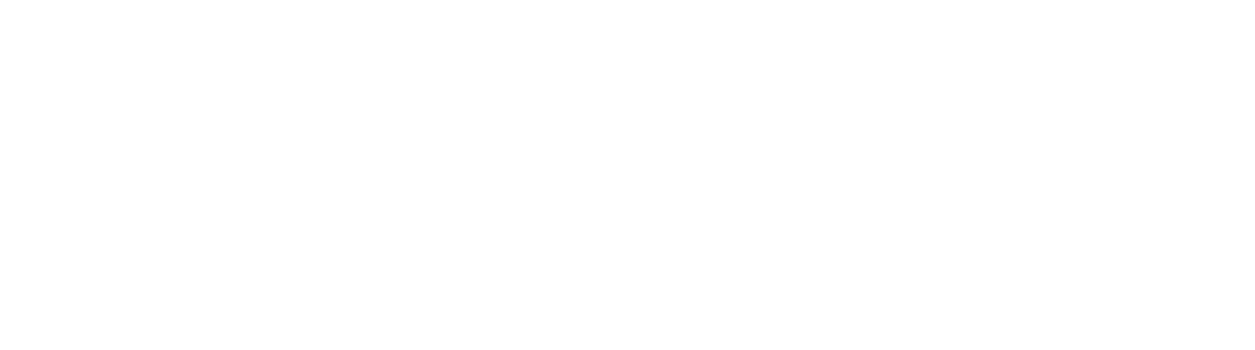 Info Support
